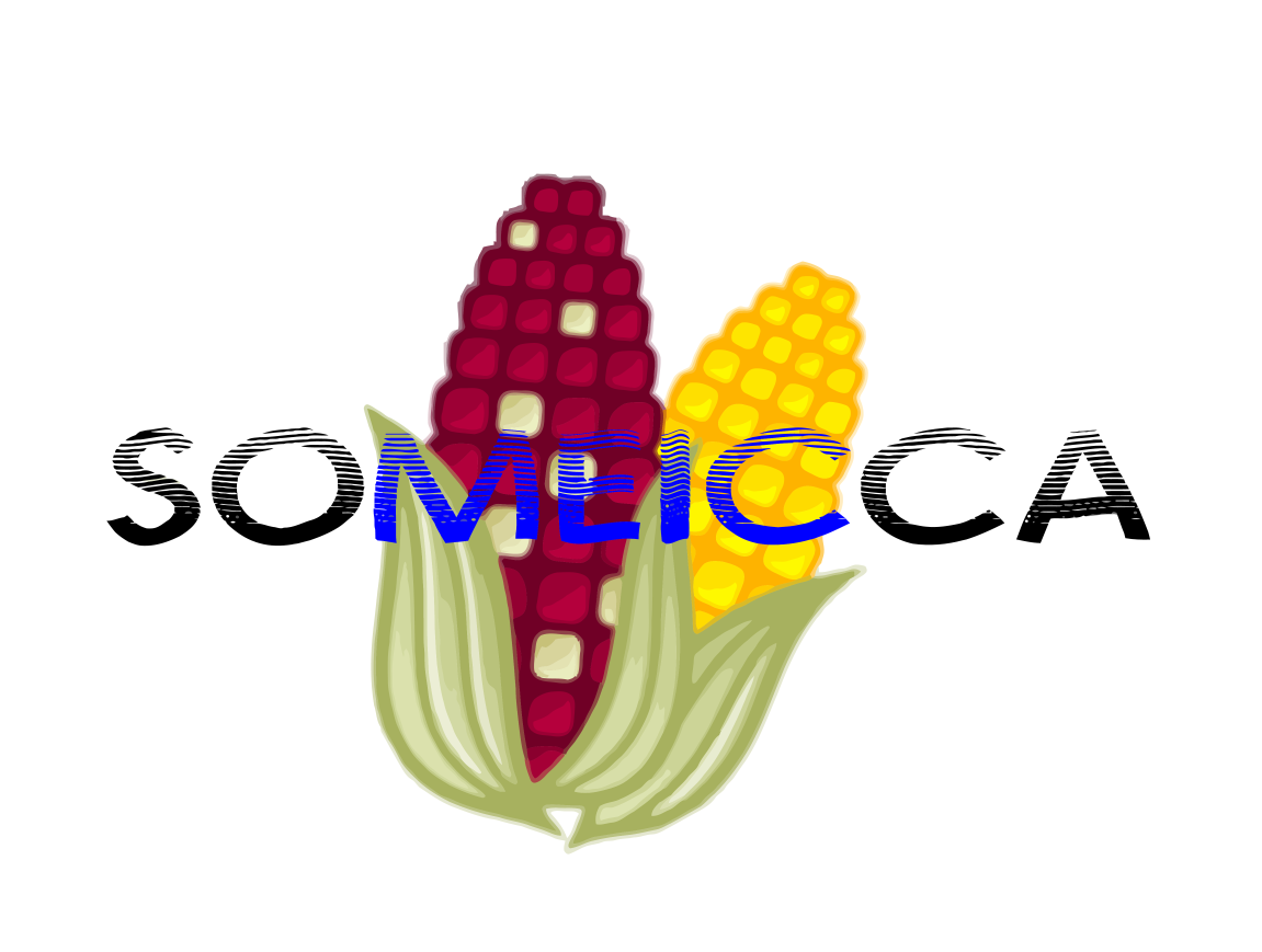 SOMEICCA_LOGO_vectorized