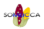 SOMEICCA_LOGO_vectorized
